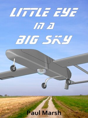 cover image of Little Eye in a Big Sky